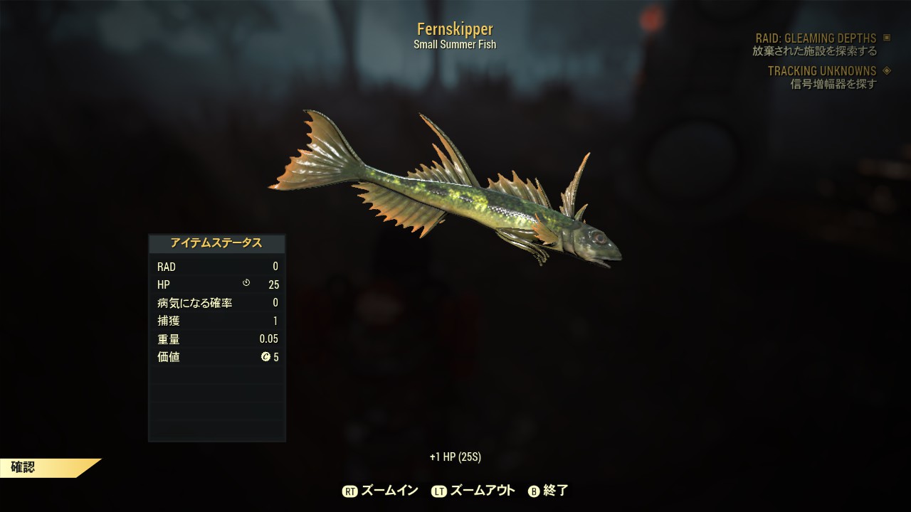 Fernskipper（夏の魚）の画像①