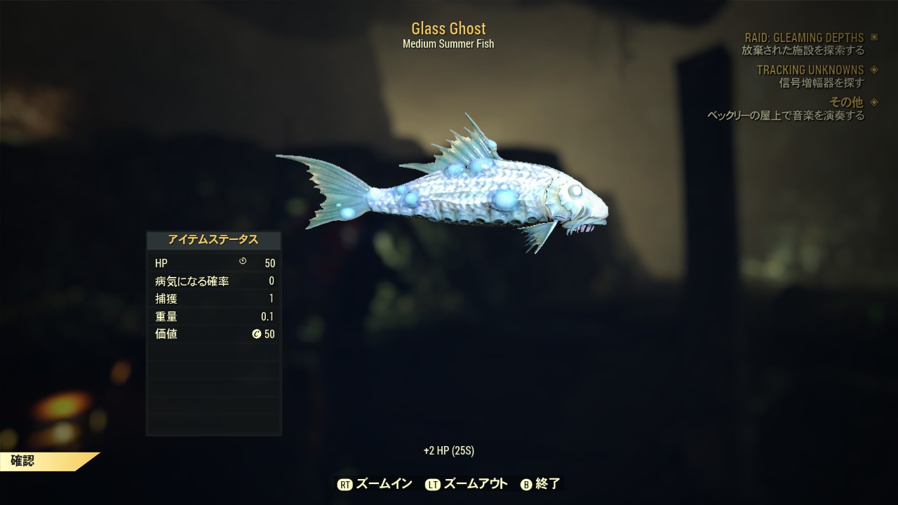 Glass Ghost（夏の魚）の画像②